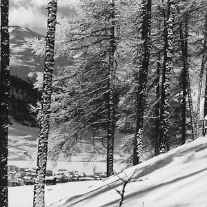 Отель Hotel Livigno ***